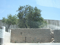 Mur, Palestine