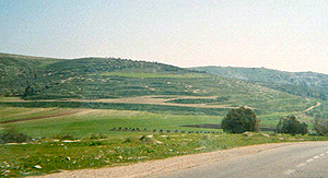 Sur la route entre Jenine et Naplouse, Palestine
